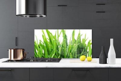 Painel vidro cozinha Planta de grama