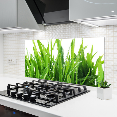 Painel vidro cozinha Planta de grama