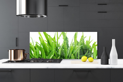 Painel vidro cozinha Planta de grama