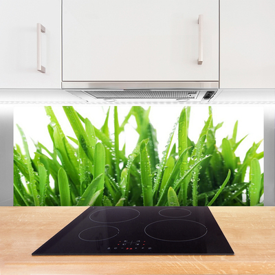 Painel vidro cozinha Planta de grama