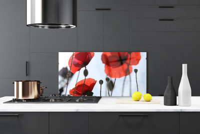 Painel cozinha Planta de papoulas