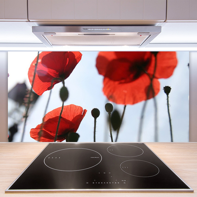 Painel cozinha Planta de papoulas