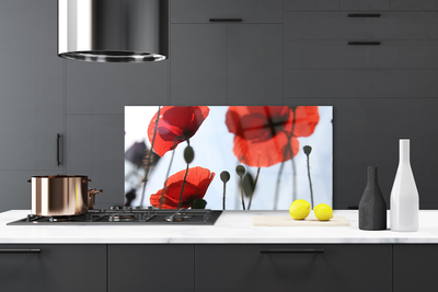 Painel cozinha Planta de papoulas