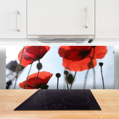 Painel cozinha Planta de papoulas