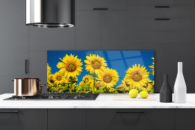 Painel cozinha Planta de Girassol