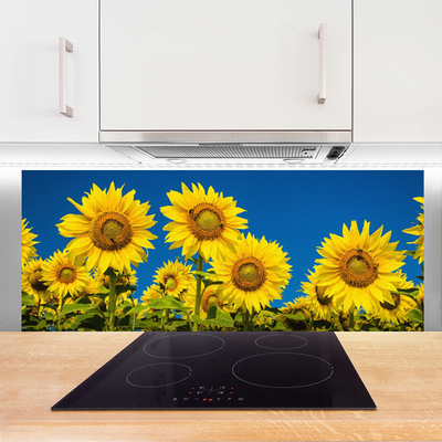 Painel cozinha Planta de Girassol