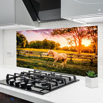 Painel cozinha Cavalo Prado Animais Natureza