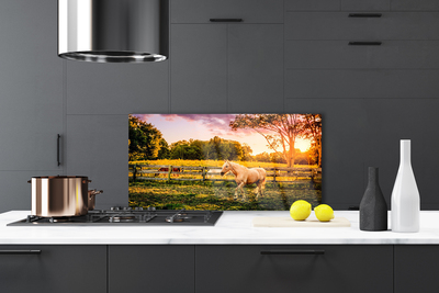 Painel cozinha Cavalo Prado Animais Natureza