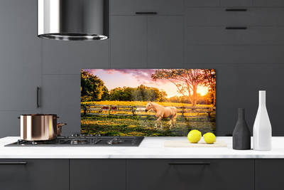 Painel cozinha Cavalo Prado Animais Natureza