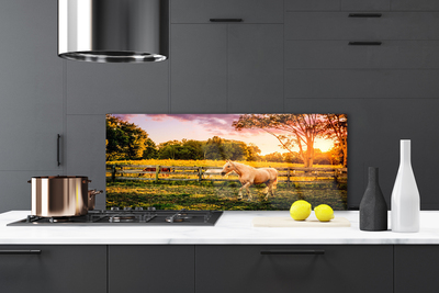 Painel cozinha Cavalo Prado Animais Natureza