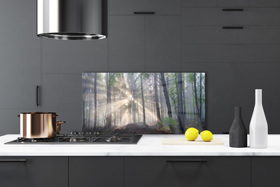 Painel cozinha Floresta Natureza Árvores