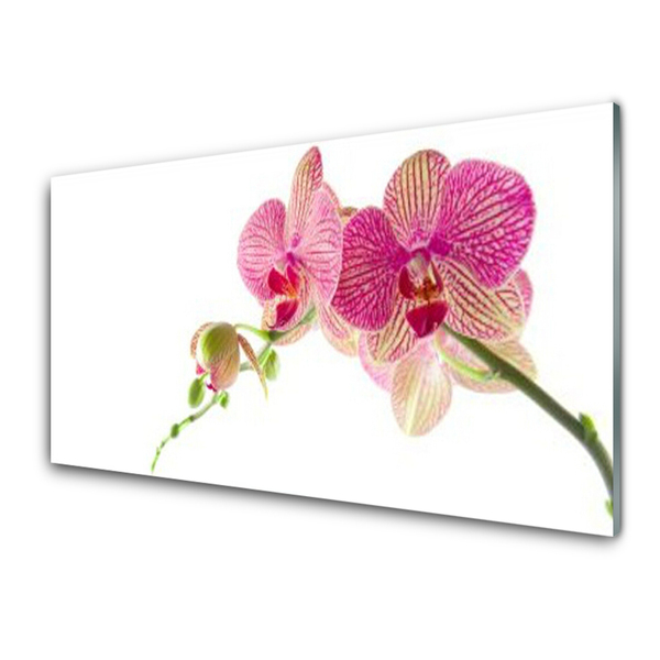 Painel cozinha Planta de flores