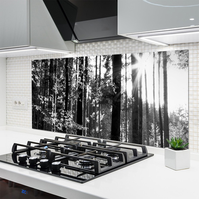 Painel cozinha Floresta Natureza Árvores