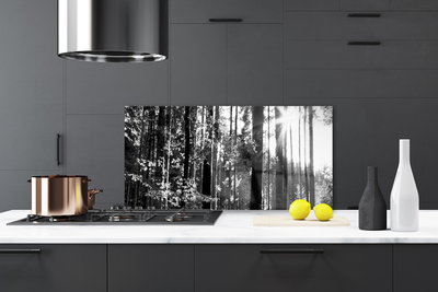 Painel cozinha Floresta Natureza Árvores