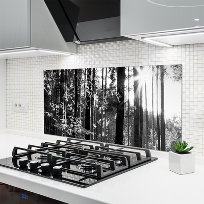 Painel cozinha Floresta Natureza Árvores