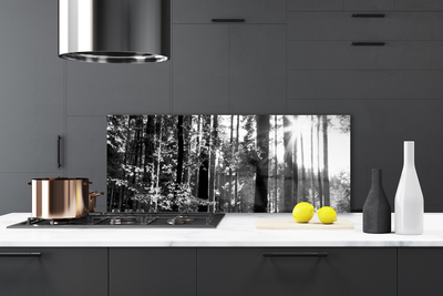 Painel cozinha Floresta Natureza Árvores