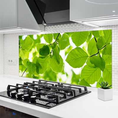 Painel vidro cozinha Folhas Natureza Planta