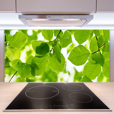 Painel vidro cozinha Folhas Natureza Planta