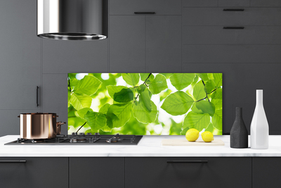 Painel vidro cozinha Folhas Natureza Planta