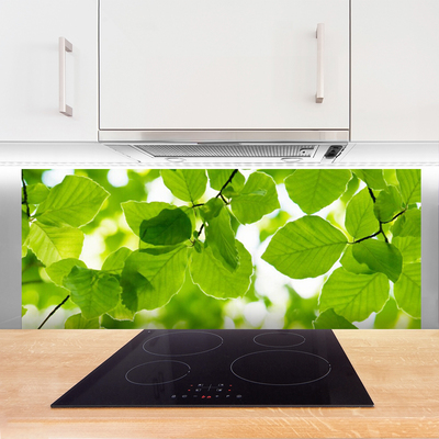 Painel vidro cozinha Folhas Natureza Planta
