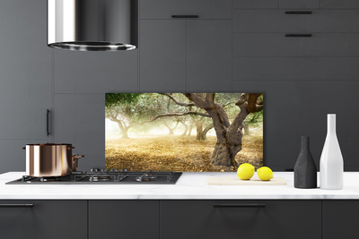 Painel vidro cozinha Árvore Grama Natureza