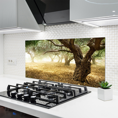 Painel vidro cozinha Árvore Grama Natureza