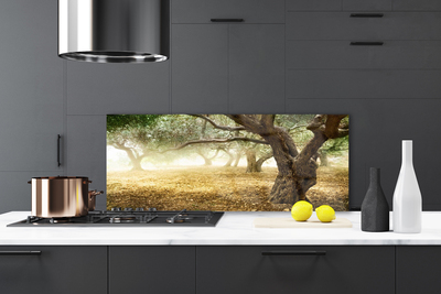 Painel vidro cozinha Árvore Grama Natureza