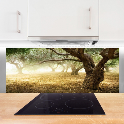 Painel vidro cozinha Árvore Grama Natureza