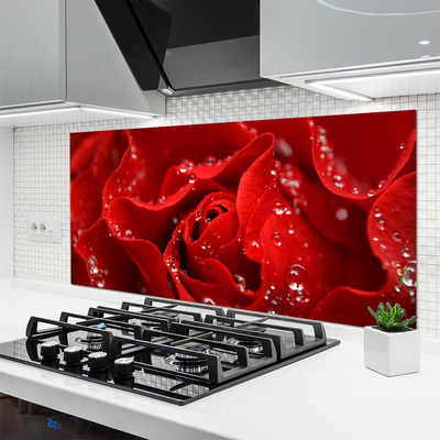 Painel vidro cozinha Rosa Flor Planta Natureza