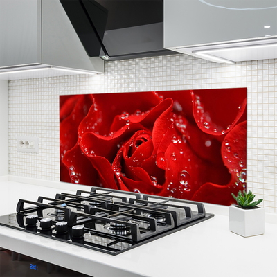 Painel vidro cozinha Rosa Flor Planta Natureza