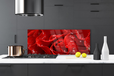 Painel vidro cozinha Rosa Flor Planta Natureza