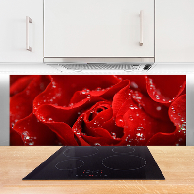 Painel vidro cozinha Rosa Flor Planta Natureza