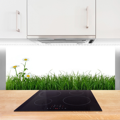 Painel cozinha Grama Natureza Planta