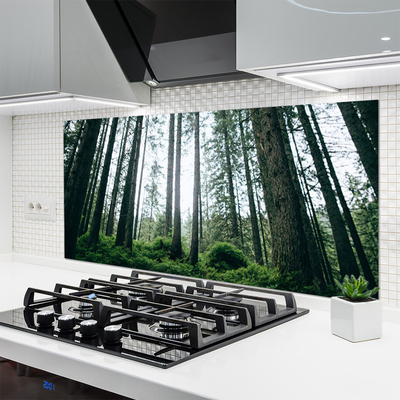 Painel cozinha Floresta Natureza Árvores