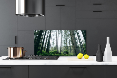 Painel cozinha Floresta Natureza Árvores