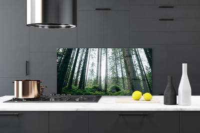 Painel cozinha Floresta Natureza Árvores