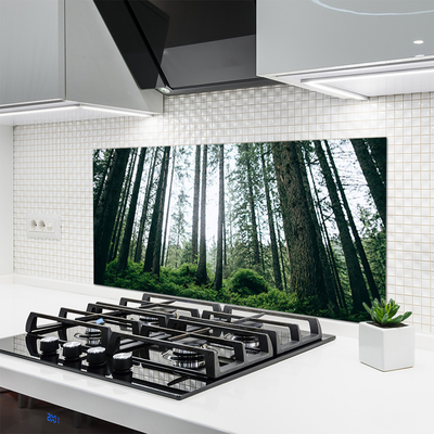 Painel cozinha Floresta Natureza Árvores