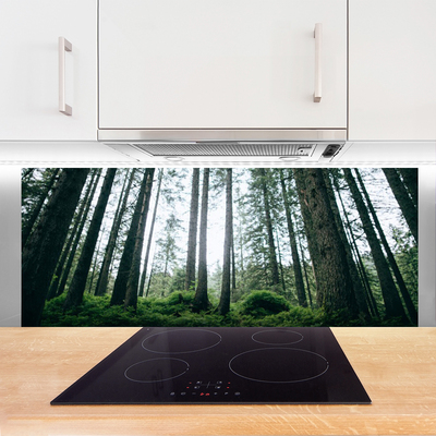 Painel cozinha Floresta Natureza Árvores