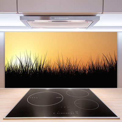 Painel vidro cozinha Grama Natureza Planta