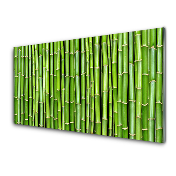 Painel vidro cozinha Planta de flor de bambu