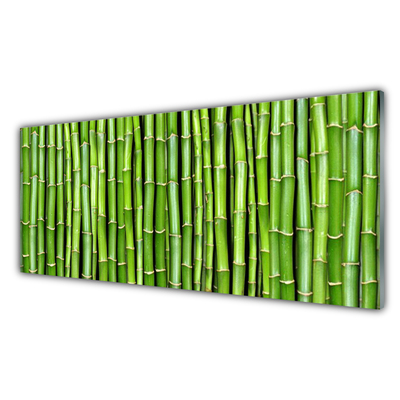 Painel vidro cozinha Planta de flor de bambu
