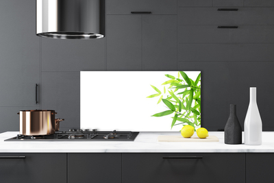 Painel cozinha Folhas Natureza Planta