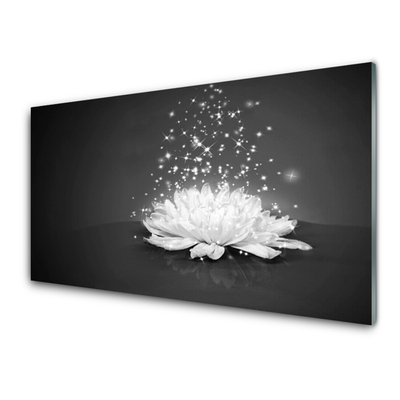 Painel vidro cozinha Flor Planta Natureza