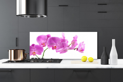 Painel cozinha Flores Planta Natureza