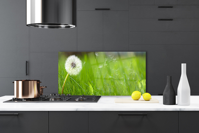 Painel vidro cozinha Planta dente-de-leão