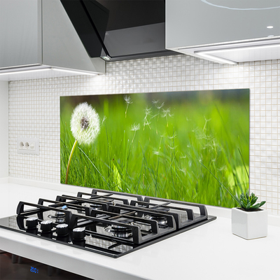 Painel vidro cozinha Planta dente-de-leão