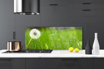 Painel vidro cozinha Planta dente-de-leão