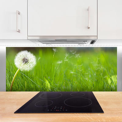 Painel vidro cozinha Planta dente-de-leão