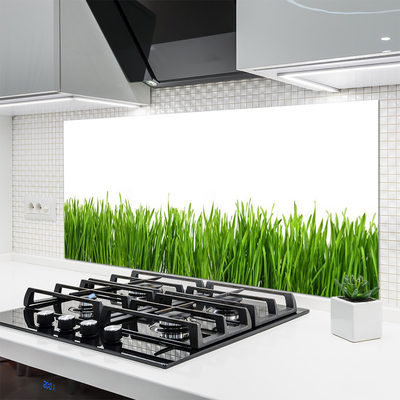 Painel vidro cozinha Grama Natureza Planta