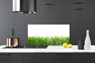 Painel vidro cozinha Grama Natureza Planta